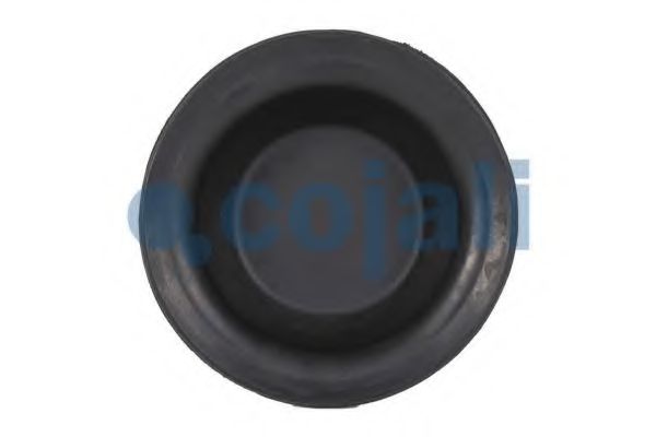 Мембрана, цилиндр пружинного энерго-аккумулятора COJALI 6001101