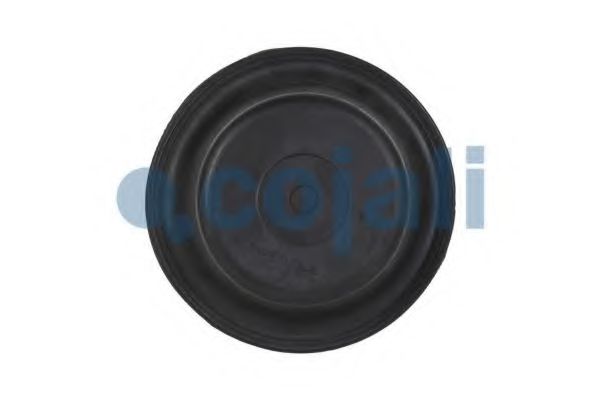 Мембрана, цилиндр пружинного энерго-аккумулятора COJALI 6001107