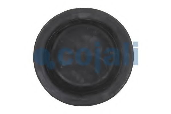 Мембрана, цилиндр пружинного энерго-аккумулятора COJALI 6001111