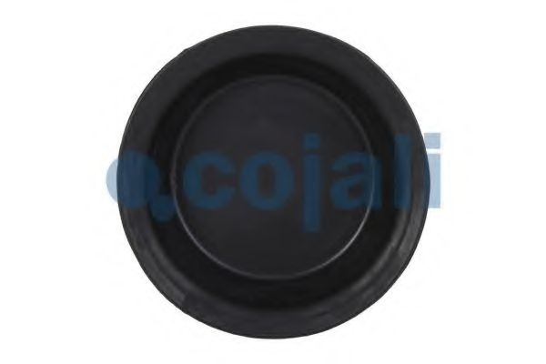 Мембрана, цилиндр пружинного энерго-аккумулятора COJALI 6001122