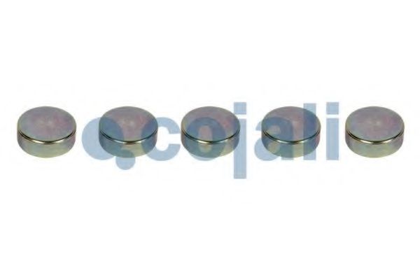 Ремкомплект, тормозной суппорт COJALI 6084008