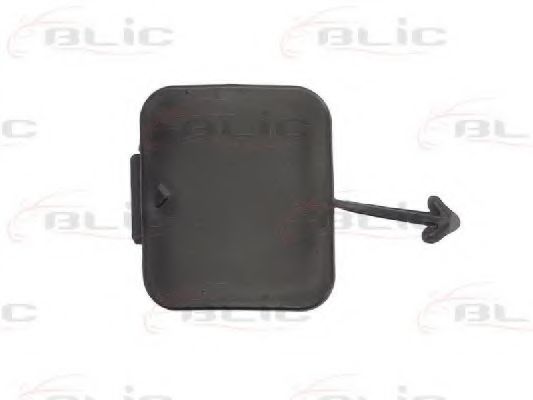 Колпачок, буксирный крюк BLIC 5513-00-0065975P