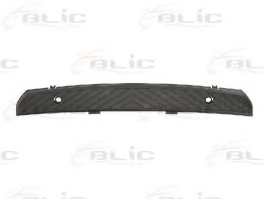 Облицовка / защитная накладка, буфер BLIC 6509-01-3547920P