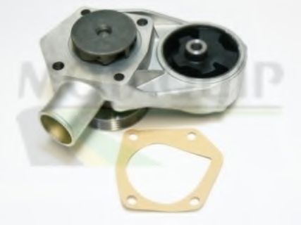 Водяной насос SALERI PA943