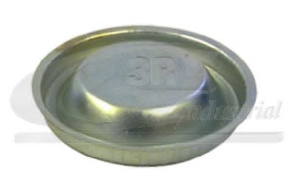 Крышка, подшипник ступицы колеса 3RG 84203