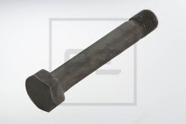 Болт PE Automotive 01309900