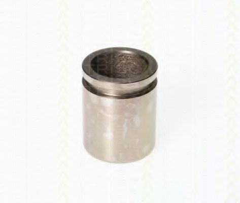 Поршень, корпус скобы тормоза TRISCAN 8170 233520