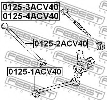 Рычаг независимой подвески колеса, подвеска колеса FEBEST 01251ACV40