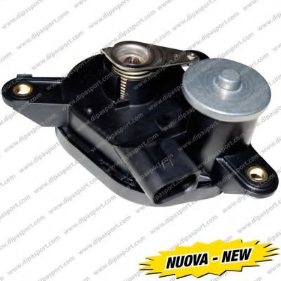 Патрубок, впускной коллектор DIPASPORT COLAC022N