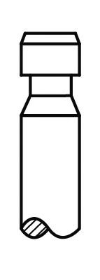 Впускной клапан AE V34050