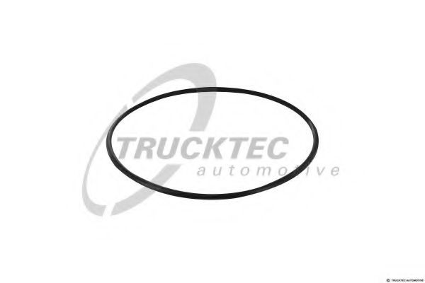 Уплотнительное кольцо TRUCKTEC AUTOMOTIVE 01.13.199
