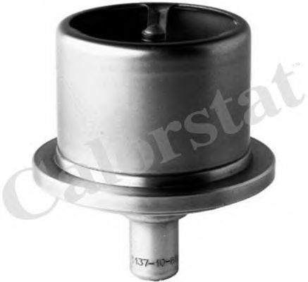 Термостат, охлаждающая жидкость CALORSTAT by Vernet THCT1294.79