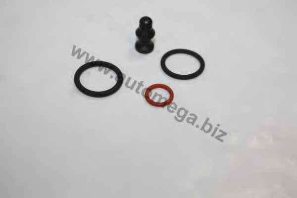 Ремкомплект, насос-форсунка AUTOMEGA 30198005103GA