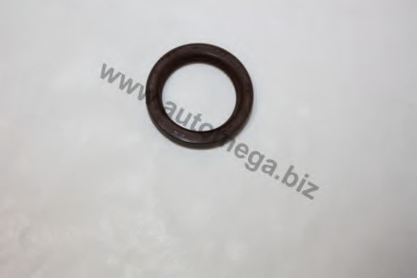 Уплотняющее кольцо, распределительный вал 3RG 80533