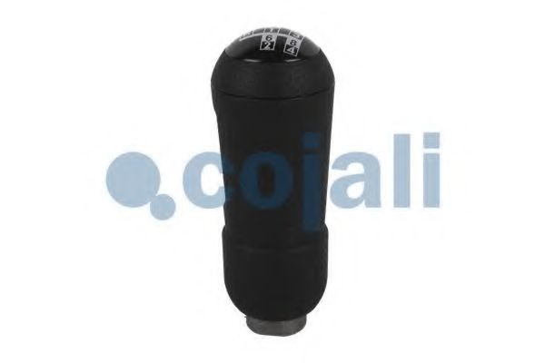 Ручка рычага переключения передач COJALI 2880175