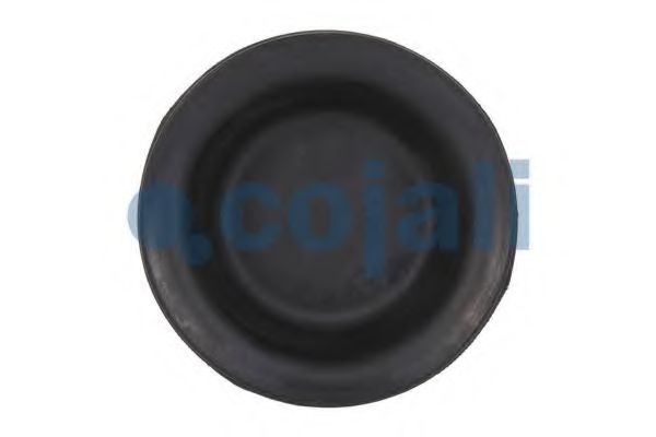 Мембрана, цилиндр пружинного энерго-аккумулятора COJALI 6001102