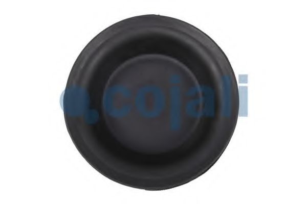 Мембрана, цилиндр пружинного энерго-аккумулятора COJALI 6001106