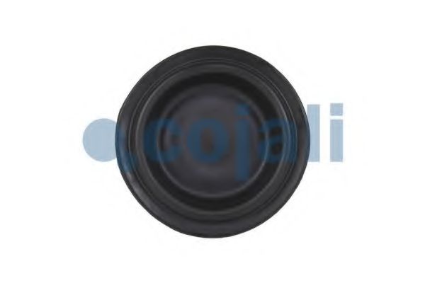 Мембрана, цилиндр пружинного энерго-аккумулятора COJALI 6001110