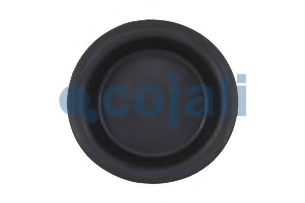 Мембрана, цилиндр пружинного энерго-аккумулятора COJALI 6001117