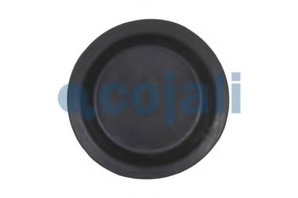 Мембрана, цилиндр пружинного энерго-аккумулятора COJALI 6001123