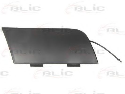 Покрытие буфера, прицепное обор BLIC 5513-00-0031920P