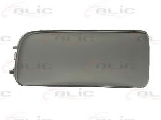 Покрытие, фара SCHLIECKMANN 119403