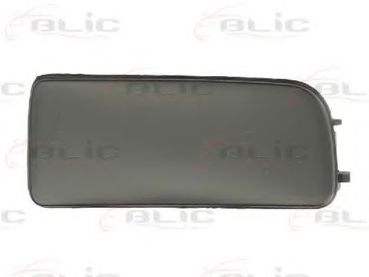 Покрытие, фара SCHLIECKMANN 119405