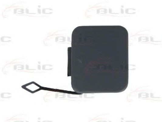 Покрытие буфера, прицепное обор BLIC 5513-00-0065970P