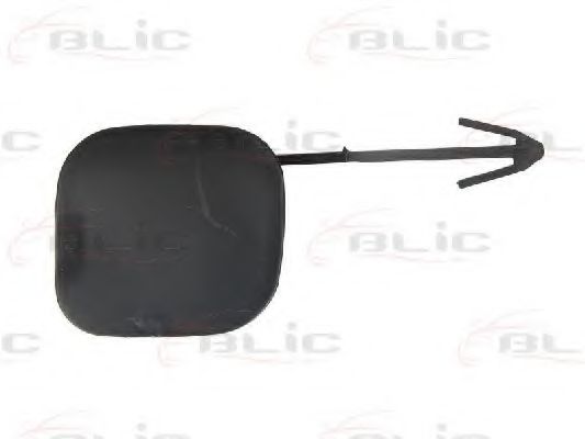 Покрытие буфера, прицепное обор BLIC 5513-00-1609920P