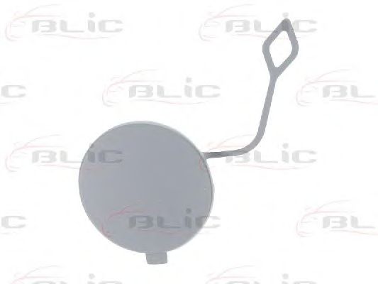 Покрытие буфера, прицепное обор BLIC 5513-00-9586922P