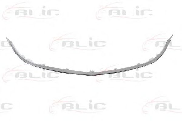 Облицовка / защитная накладка, облицовка радиатора BLIC 6502-07-5053992P