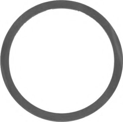 Прокладка, головка цилиндра WILMINK GROUP WG1085632