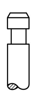 Впускной клапан AE V94558