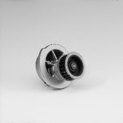 Водяной насос HEPU P317