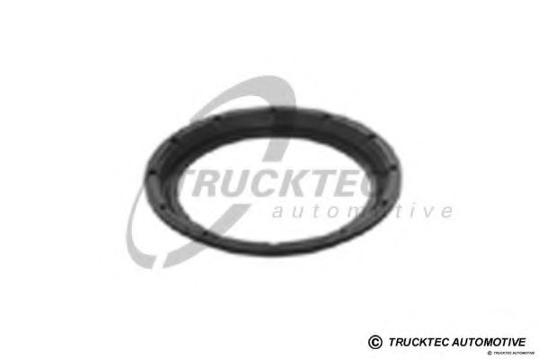 Уплотнительное кольцо TRUCKTEC AUTOMOTIVE 01.24.302