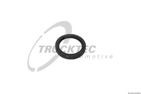 Уплотняющее кольцо, дифференциал TRUCKTEC AUTOMOTIVE 01.67.529
