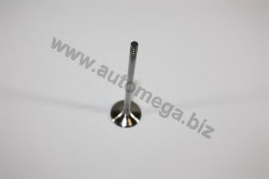 Предохранительный клин клапана AUTOMEGA 1006410388