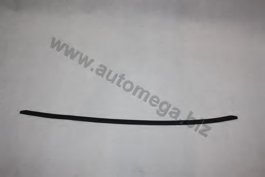 Облицовка / защитная накладка, ветровое стекло AUTOMEGA 3001630862