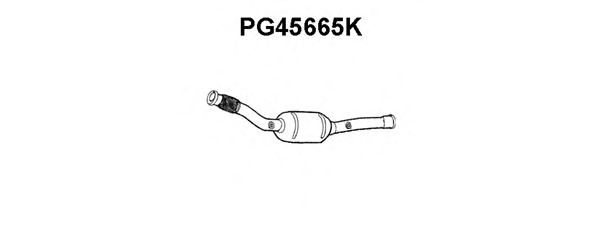 Катализатор VENEPORTE PG45665K