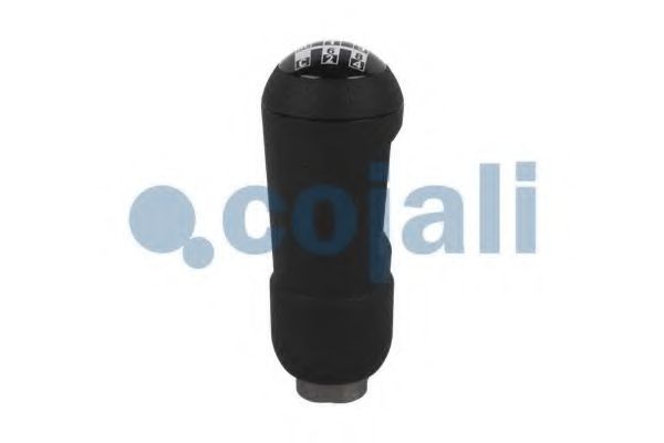 Ручка рычага переключения передач COJALI 2880174