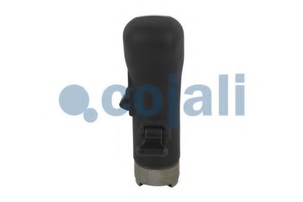 Ручка рычага переключения передач COJALI 2880180