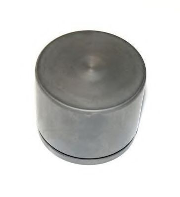 Поршень, корпус скобы тормоза LAUBER CQ71574619