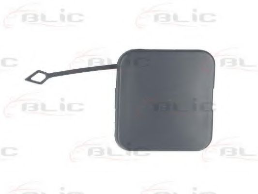 Покрытие буфера, прицепное обор BLIC 5513-00-0061971P