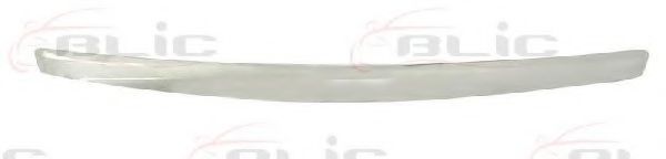 Облицовка / защитная накладка, облицовка радиатора BLIC 5513-00-2534921P