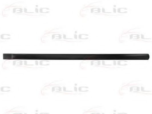 Облицовка / защитная накладка, дверь BLIC 5703-04-2555573P