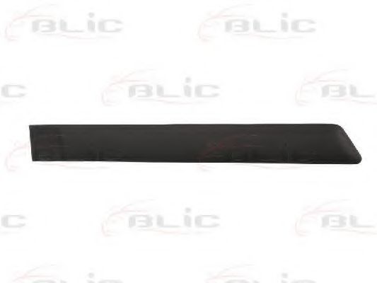 Облицовка / защитная накладка, дверь BLIC 5703-04-2564474CP