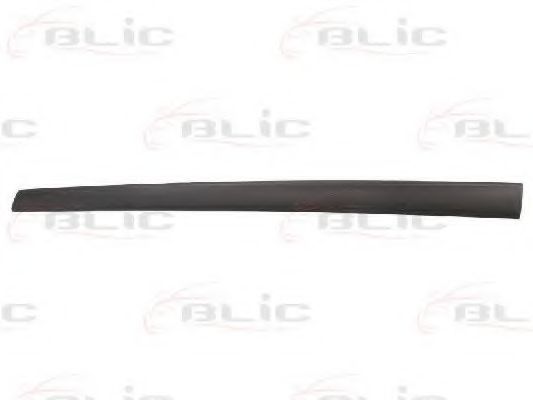 Облицовка / защитная накладка, дверь BLIC 5703-04-2564572CP