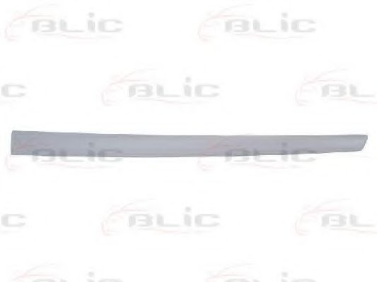 Облицовка / защитная накладка, дверь BLIC 5703-04-2564576CP