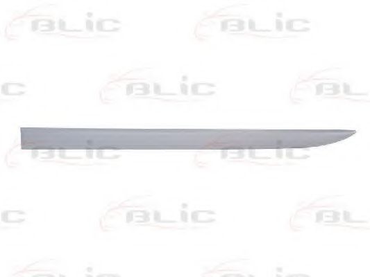 Облицовка / защитная накладка, дверь BLIC 5703-04-5024575PP