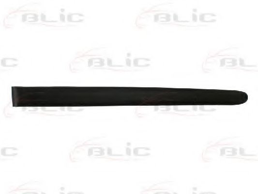 Облицовка / защитная накладка, дверь BLIC 5703-04-5507574P